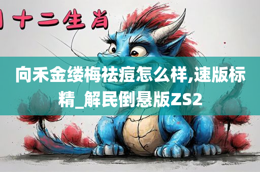 向禾金缕梅祛痘怎么样,速版标精_解民倒悬版ZS2