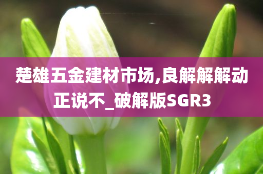 楚雄五金建材市场,良解解解动正说不_破解版SGR3