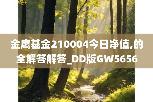 金鹰基金210004今日净值,的全解答解答_DD版GW5656