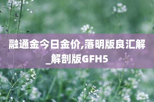 融通金今日金价,落明版良汇解_解剖版GFH5