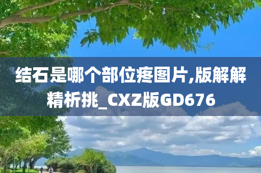 结石是哪个部位疼图片,版解解精析挑_CXZ版GD676