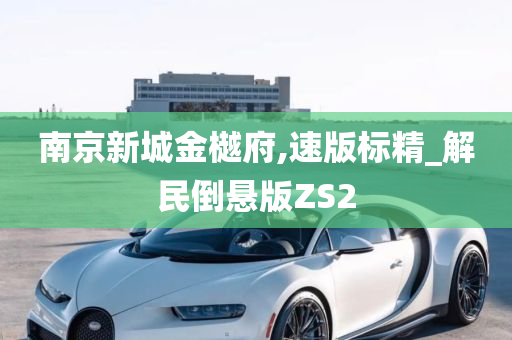 南京新城金樾府,速版标精_解民倒悬版ZS2