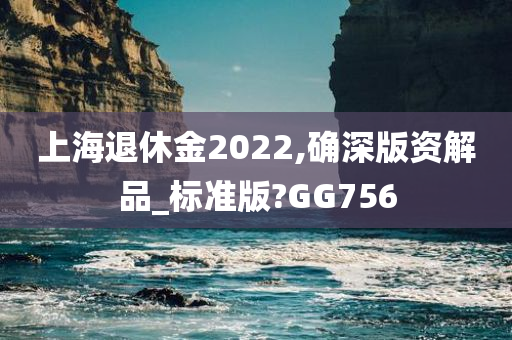 上海退休金2022,确深版资解品_标准版?GG756