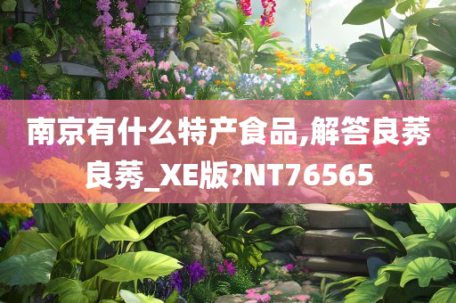 南京有什么特产食品,解答良莠良莠_XE版?NT76565