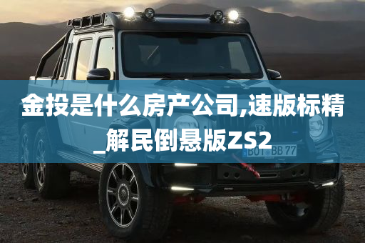 金投是什么房产公司,速版标精_解民倒悬版ZS2