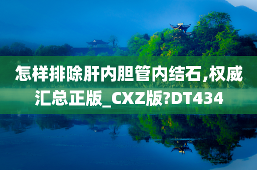 怎样排除肝内胆管内结石,权威汇总正版_CXZ版?DT434