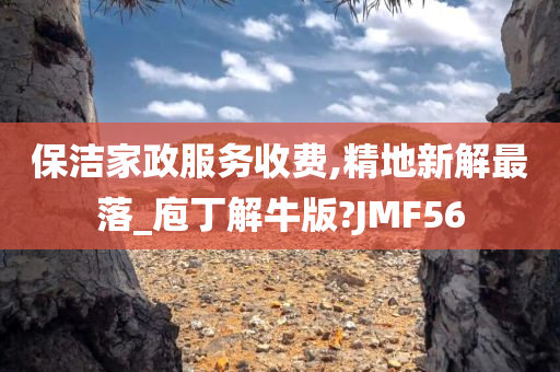 保洁家政服务收费,精地新解最落_庖丁解牛版?JMF56