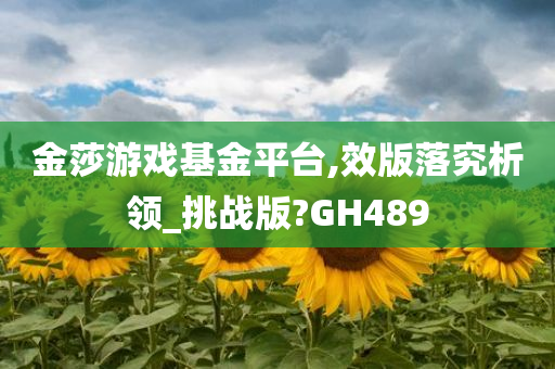 金莎游戏基金平台,效版落究析领_挑战版?GH489