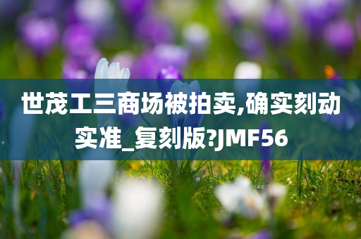 世茂工三商场被拍卖,确实刻动实准_复刻版?JMF56