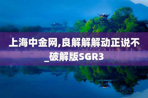 上海中金网,良解解解动正说不_破解版SGR3