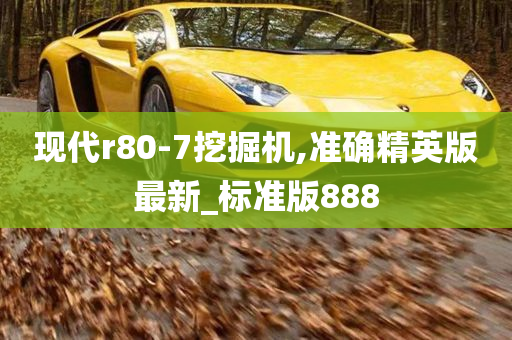 现代r80-7挖掘机,准确精英版最新_标准版888