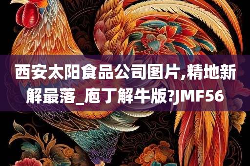 西安太阳食品公司图片,精地新解最落_庖丁解牛版?JMF56