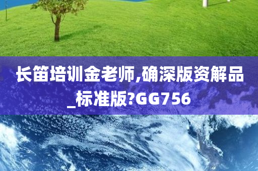 长笛培训金老师,确深版资解品_标准版?GG756