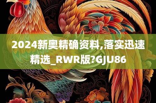 2024新奥精确资料,落实迅速精选_RWR版?GJU86