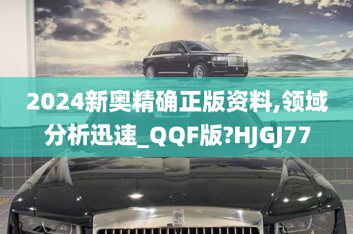 2024新奥精确正版资料,领域分析迅速_QQF版?HJGJ77