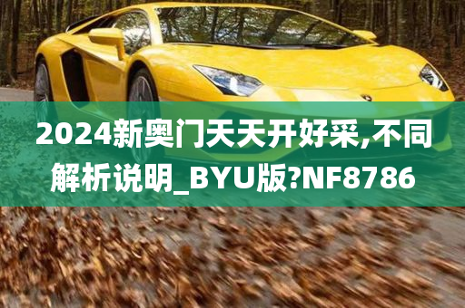 2024新奥门天天开好采,不同解析说明_BYU版?NF8786