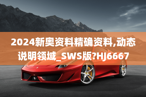 2024新奥资料精确资料,动态说明领域_SWS版?HJ6667