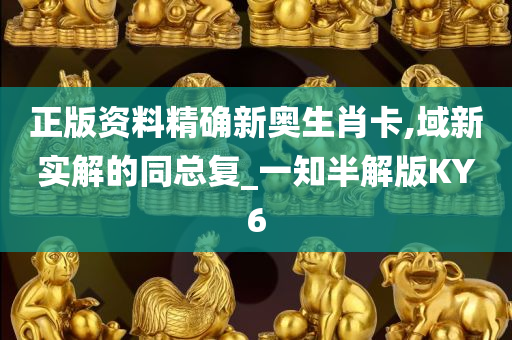 正版资料精确新奥生肖卡,域新实解的同总复_一知半解版KY6