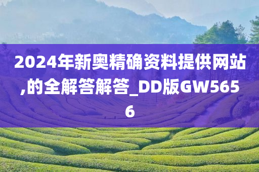 2024年新奥精确资料提供网站,的全解答解答_DD版GW5656