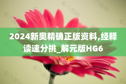 2024新奥精确正版资料,经释读速分挑_解元版HG6