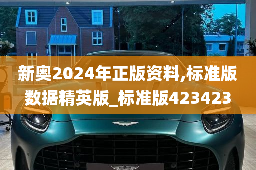 新奥2024年正版资料,标准版数据精英版_标准版423423