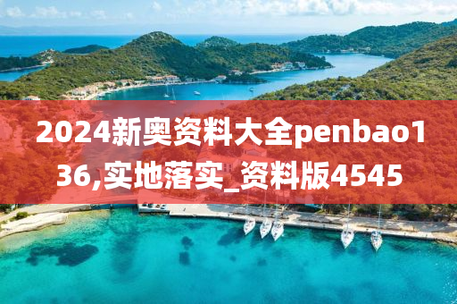 2024新奥资料大全penbao136,实地落实_资料版4545