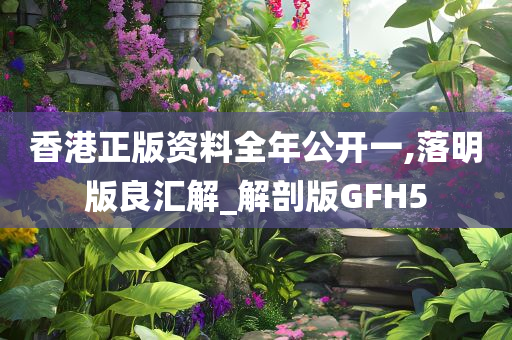 香港正版资料全年公开一,落明版良汇解_解剖版GFH5