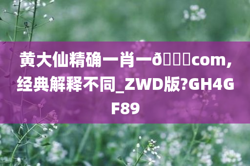 黄大仙精确一肖一🐎com,经典解释不同_ZWD版?GH4GF89