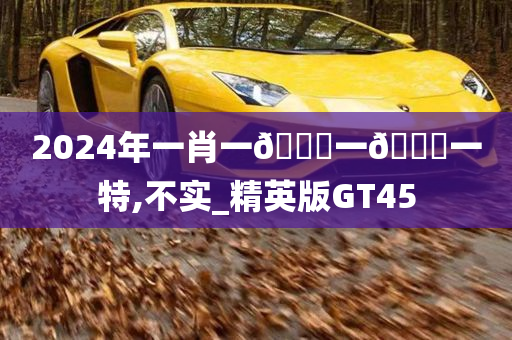 2024年一肖一🐎一🀄一特,不实_精英版GT45