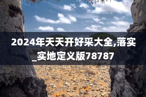 2024年天天开好采大全,落实_实地定义版78787