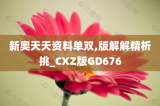 新奥天天资料单双,版解解精析挑_CXZ版GD676