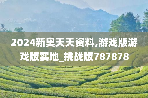 2024新奥天天资料,游戏版游戏版实地_挑战版787878