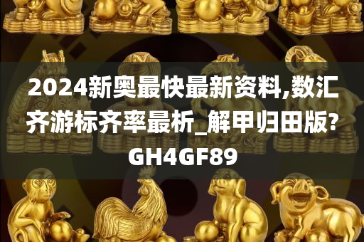 2024新奥最快最新资料,数汇齐游标齐率最析_解甲归田版?GH4GF89