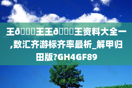 王🀄王王🀄王资料大全一,数汇齐游标齐率最析_解甲归田版?GH4GF89