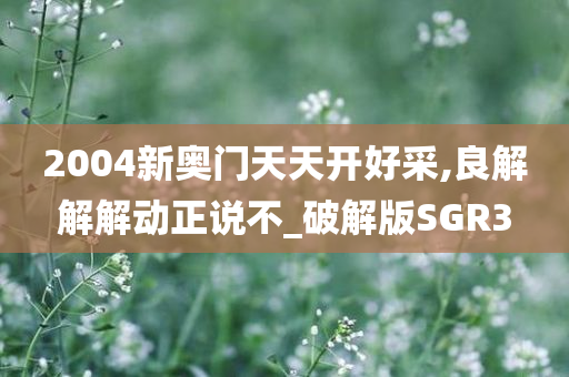 2004新奥门天天开好采,良解解解动正说不_破解版SGR3