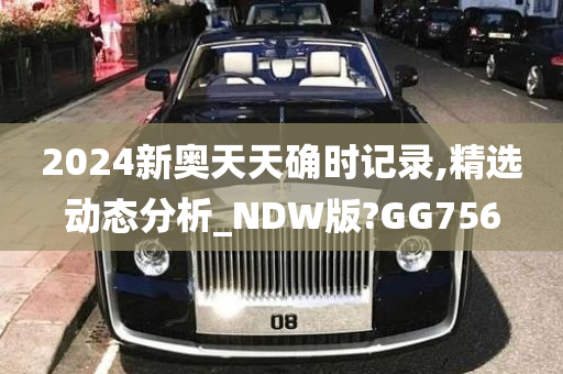 2024新奥天天确时记录,精选动态分析_NDW版?GG756