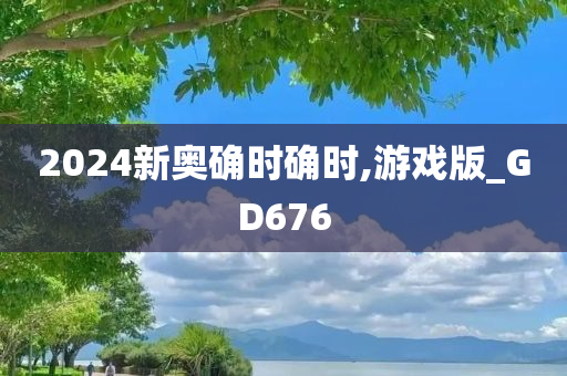 2024新奥确时确时,游戏版_GD676