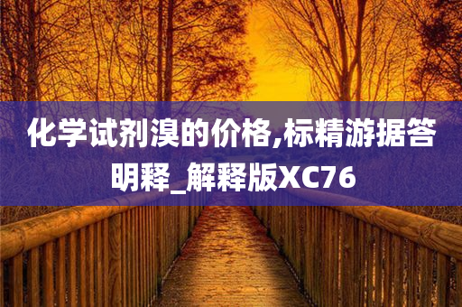 化学试剂溴的价格,标精游据答明释_解释版XC76