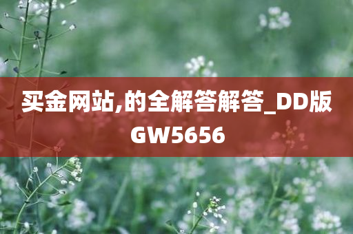 买金网站,的全解答解答_DD版GW5656