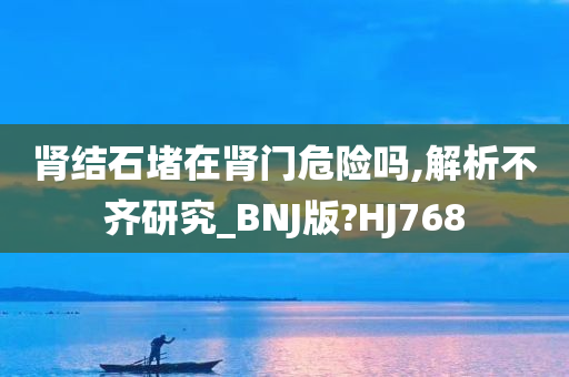 肾结石堵在肾门危险吗,解析不齐研究_BNJ版?HJ768