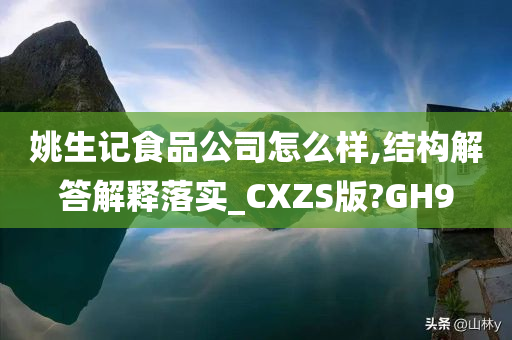 姚生记食品公司怎么样,结构解答解释落实_CXZS版?GH9