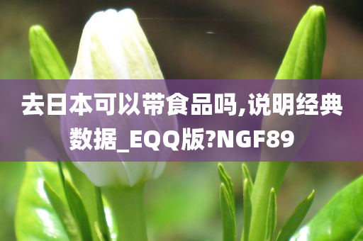 去日本可以带食品吗,说明经典数据_EQQ版?NGF89