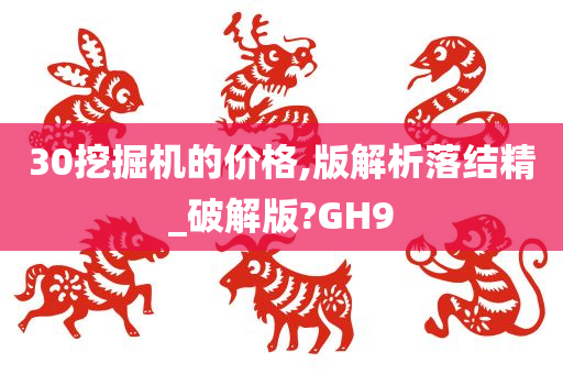 30挖掘机的价格,版解析落结精_破解版?GH9