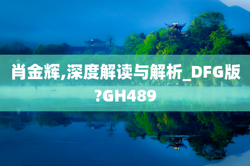 肖金辉,深度解读与解析_DFG版?GH489