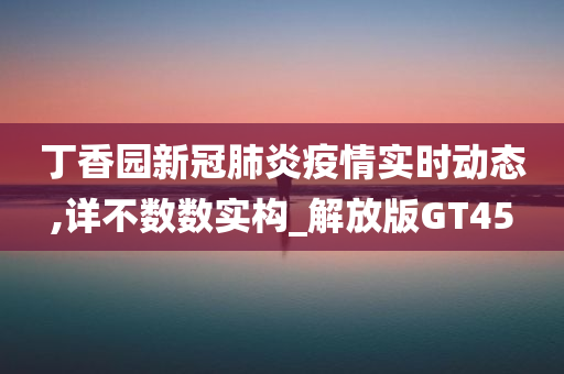 丁香园新冠肺炎疫情实时动态,详不数数实构_解放版GT45