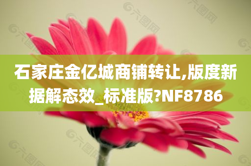 石家庄金亿城商铺转让,版度新据解态效_标准版?NF8786