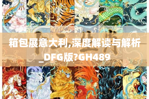 箱包展意大利,深度解读与解析_DFG版?GH489