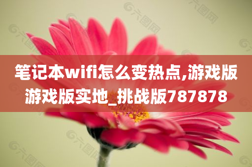 笔记本wifi怎么变热点,游戏版游戏版实地_挑战版787878