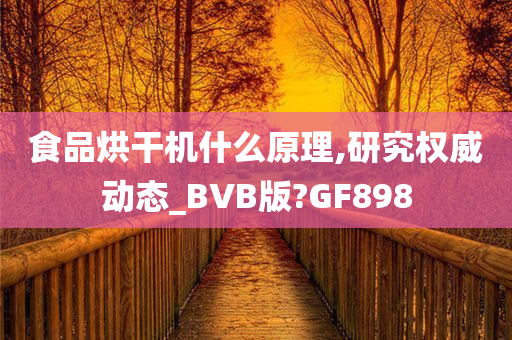 食品烘干机什么原理,研究权威动态_BVB版?GF898