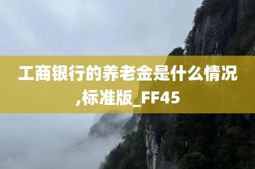 工商银行的养老金是什么情况,标准版_FF45